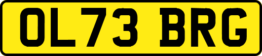 OL73BRG