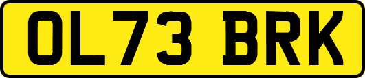 OL73BRK