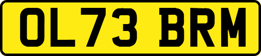 OL73BRM