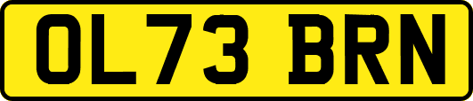 OL73BRN