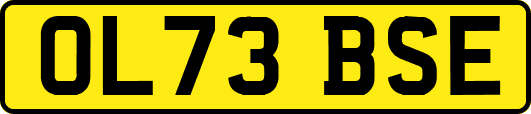 OL73BSE