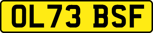 OL73BSF