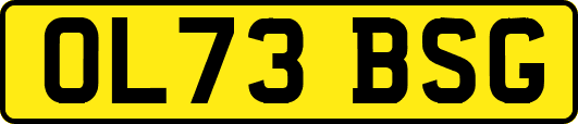 OL73BSG