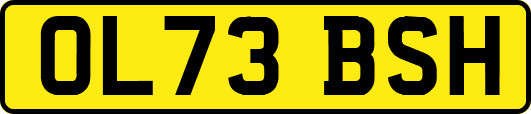 OL73BSH