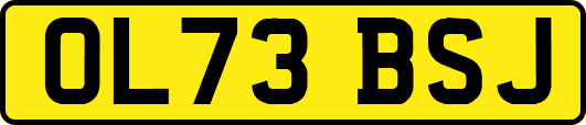 OL73BSJ