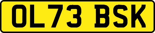 OL73BSK