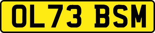 OL73BSM