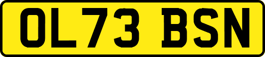OL73BSN