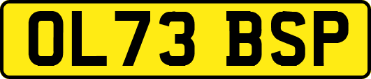 OL73BSP