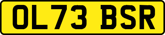 OL73BSR