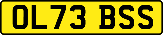 OL73BSS