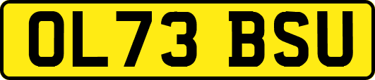 OL73BSU