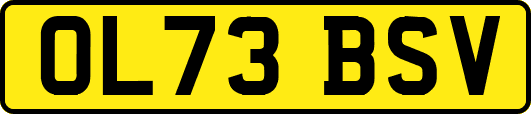 OL73BSV