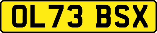 OL73BSX