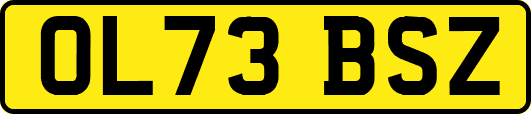 OL73BSZ