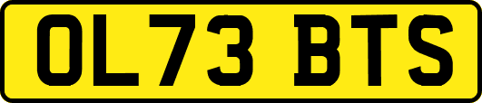 OL73BTS