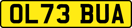 OL73BUA