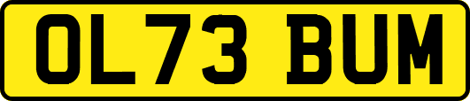 OL73BUM