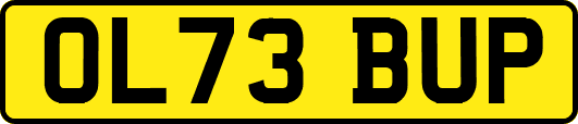 OL73BUP