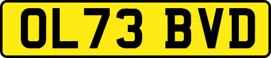 OL73BVD