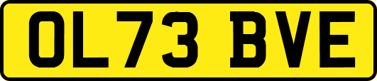 OL73BVE
