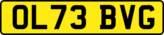 OL73BVG