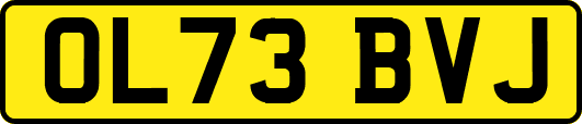 OL73BVJ