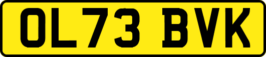 OL73BVK