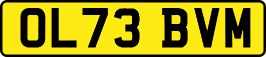 OL73BVM
