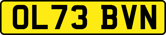 OL73BVN