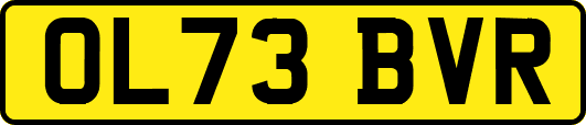 OL73BVR