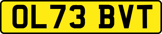 OL73BVT