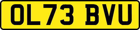 OL73BVU