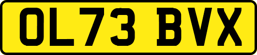 OL73BVX