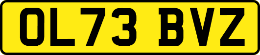 OL73BVZ