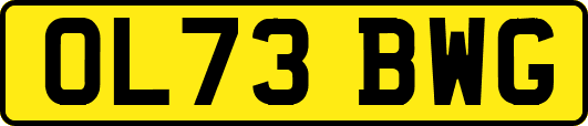 OL73BWG