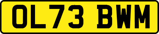OL73BWM