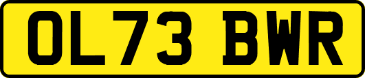 OL73BWR