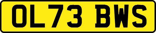 OL73BWS