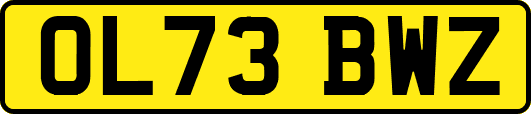 OL73BWZ