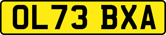 OL73BXA