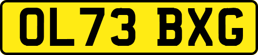 OL73BXG