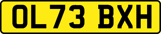 OL73BXH