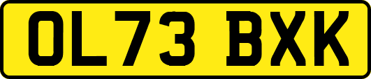 OL73BXK