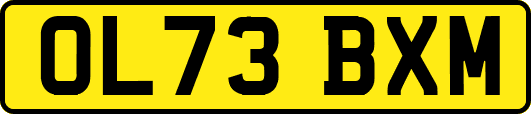 OL73BXM