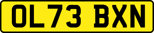 OL73BXN