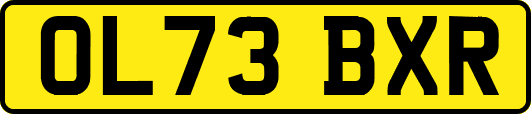 OL73BXR