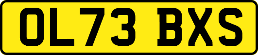 OL73BXS