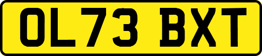 OL73BXT