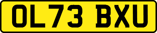 OL73BXU